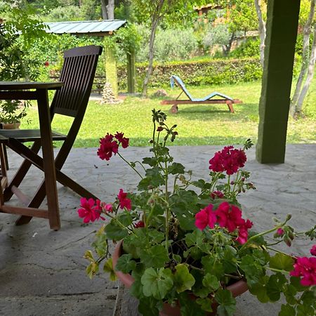 Casa Verde Country House Montescudaio Exterior photo