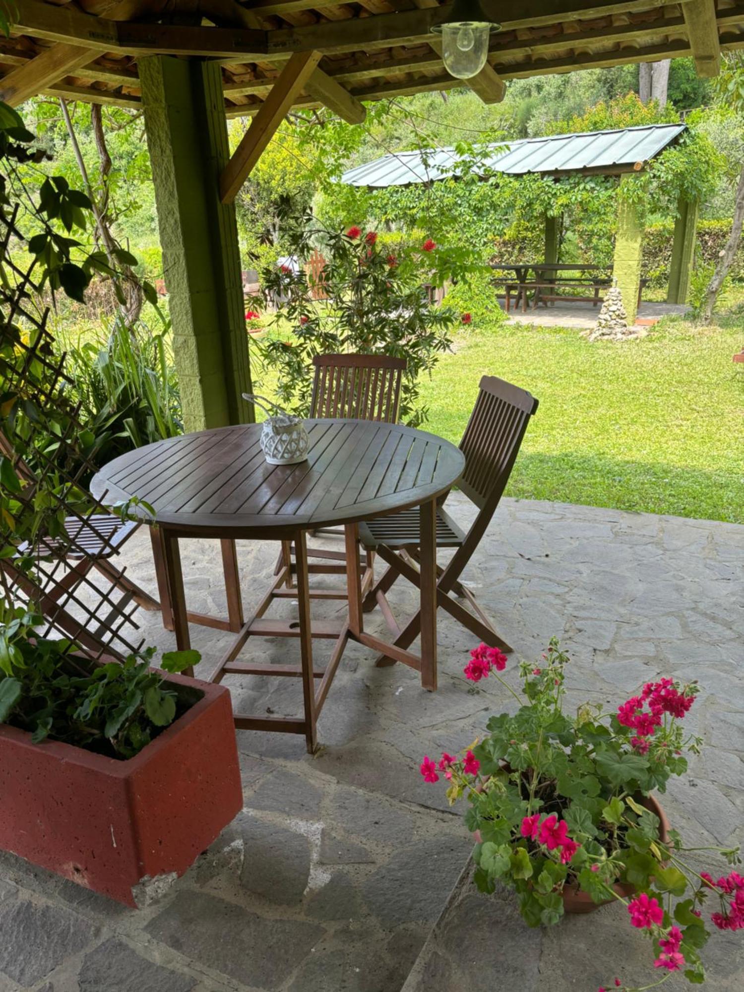 Casa Verde Country House Montescudaio Exterior photo
